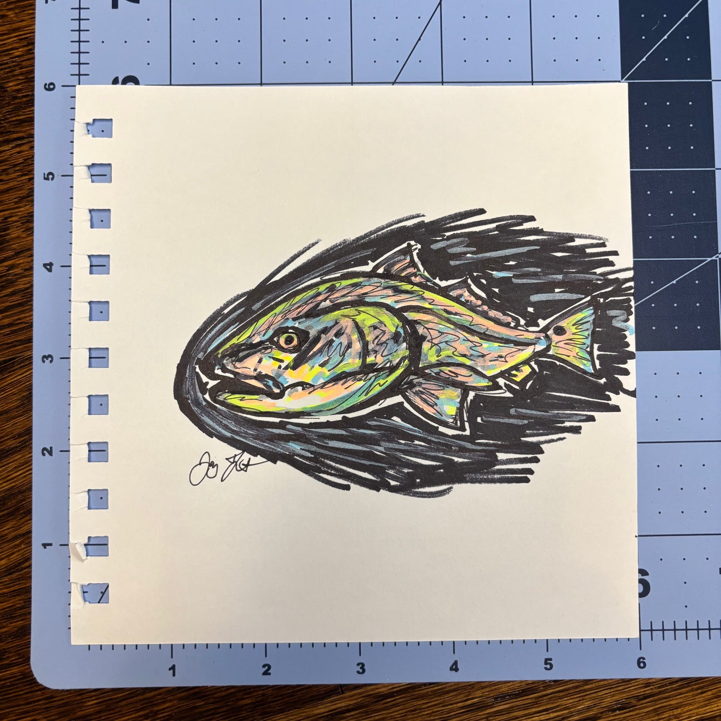 Studio Sale Redfish 2 Original
