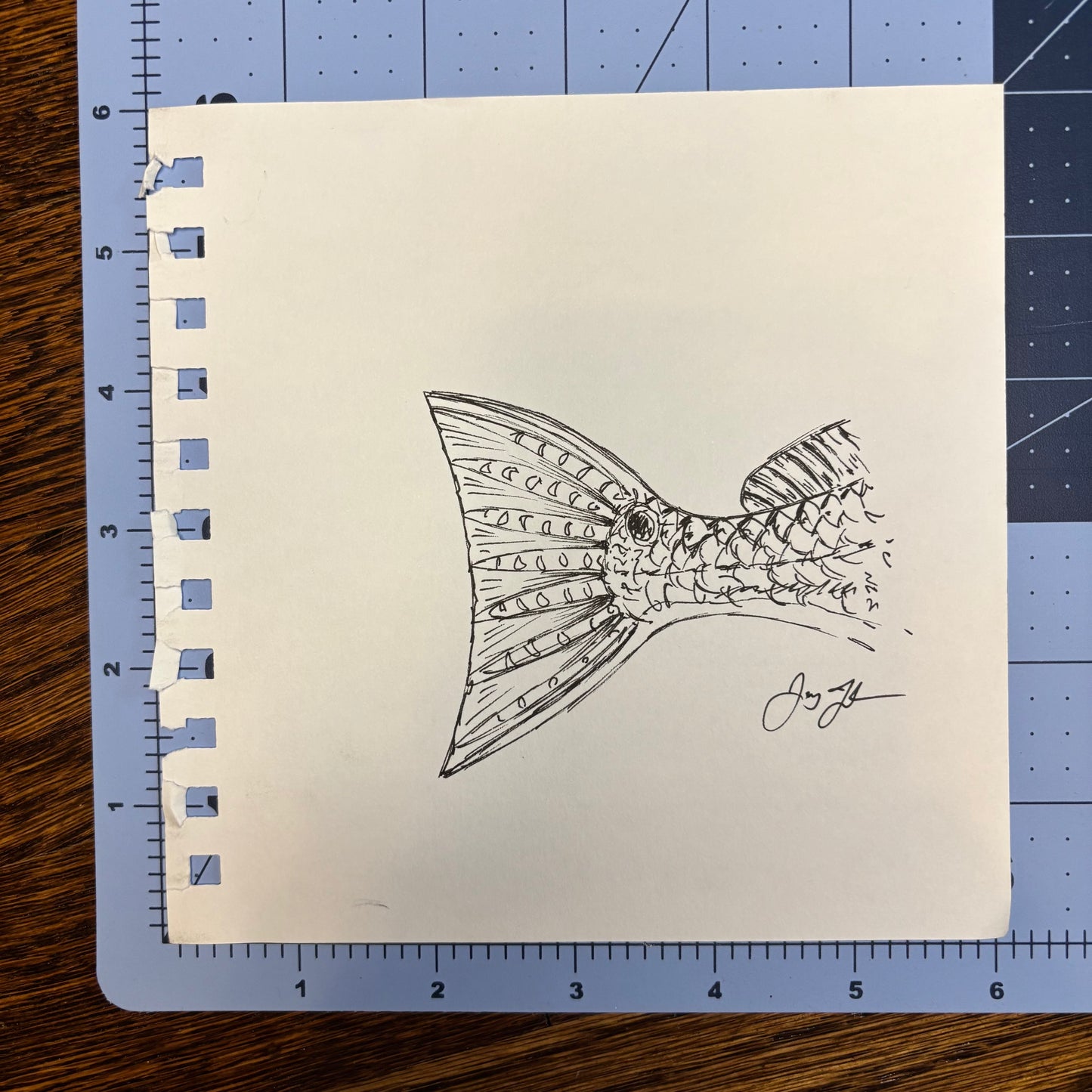 Studio Sale Redfish Tail 2 Original
