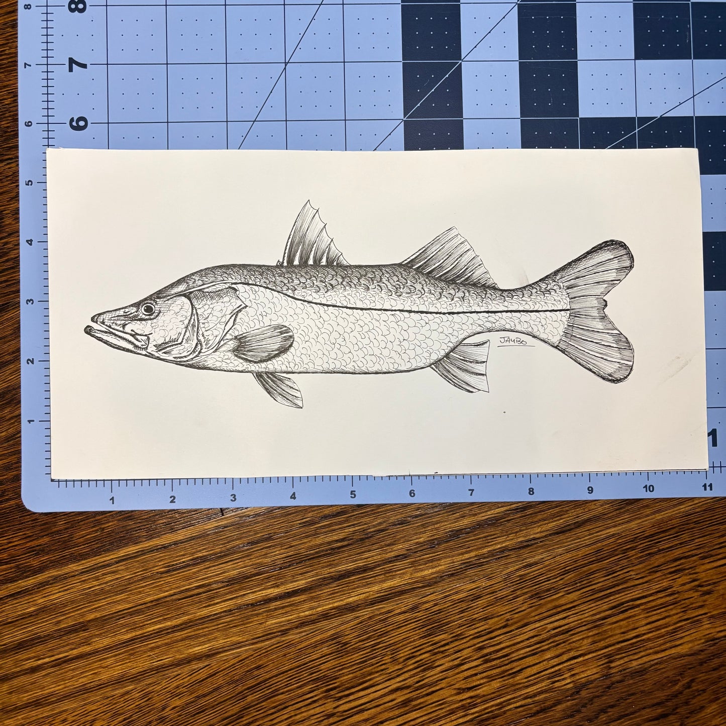 Studio Sale Snook Original