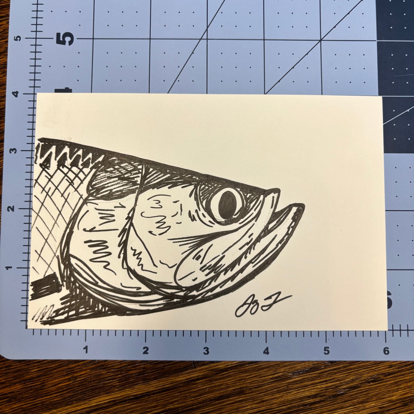 Studio Sale Tarpon 2 Original