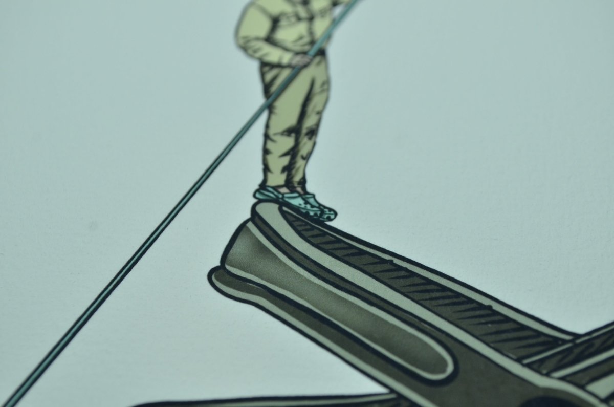 Flip's Technical Croc Print (Frame not included) - Jaybo Art