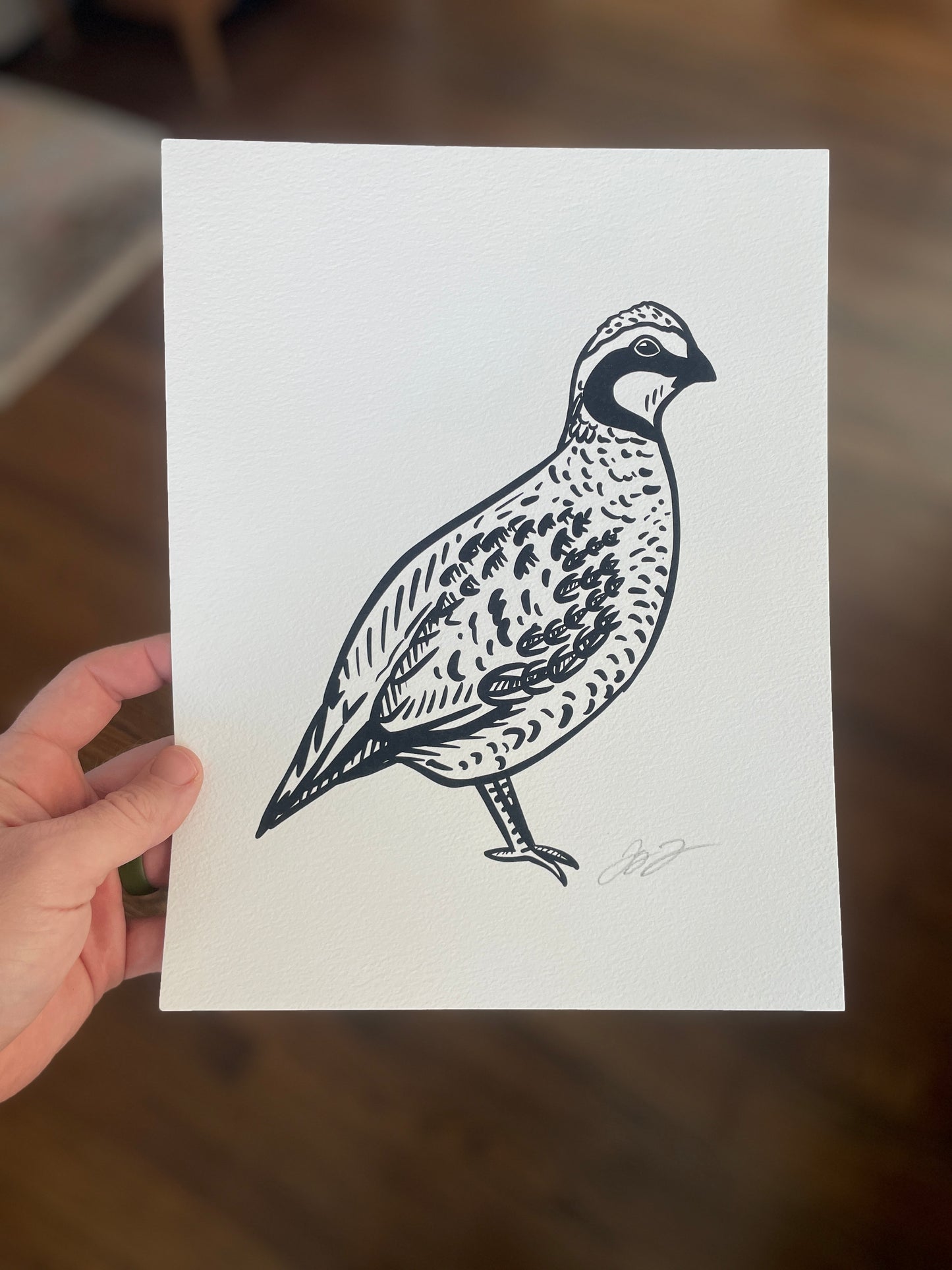 Open Edition: Simple Bobwhite Print