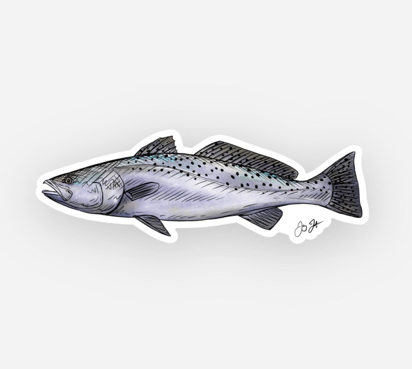 Sea Trout Drawing Decal