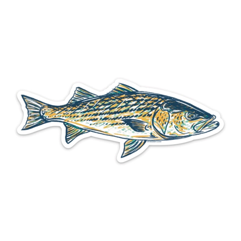 Striper/Rockfish Decal