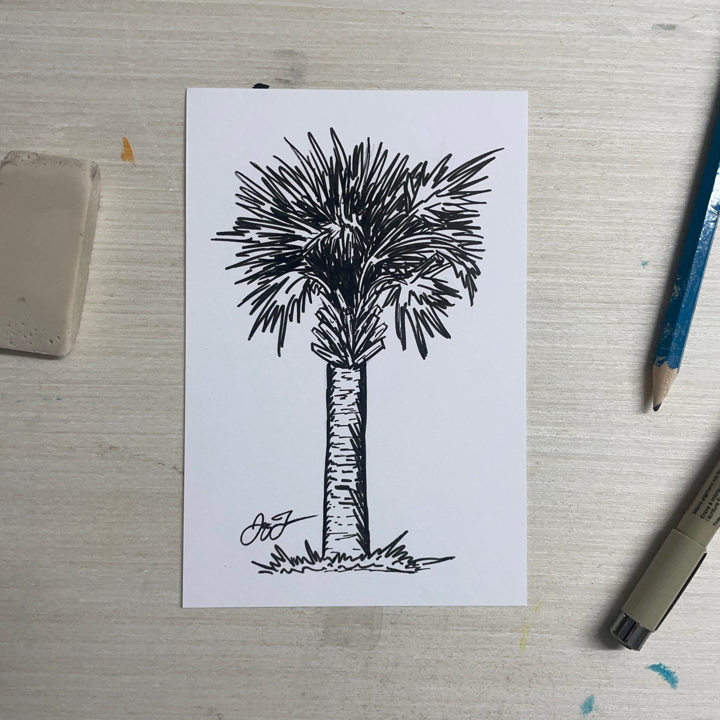Original 4"x6" Palm Tree Sketch by Jay Talbot