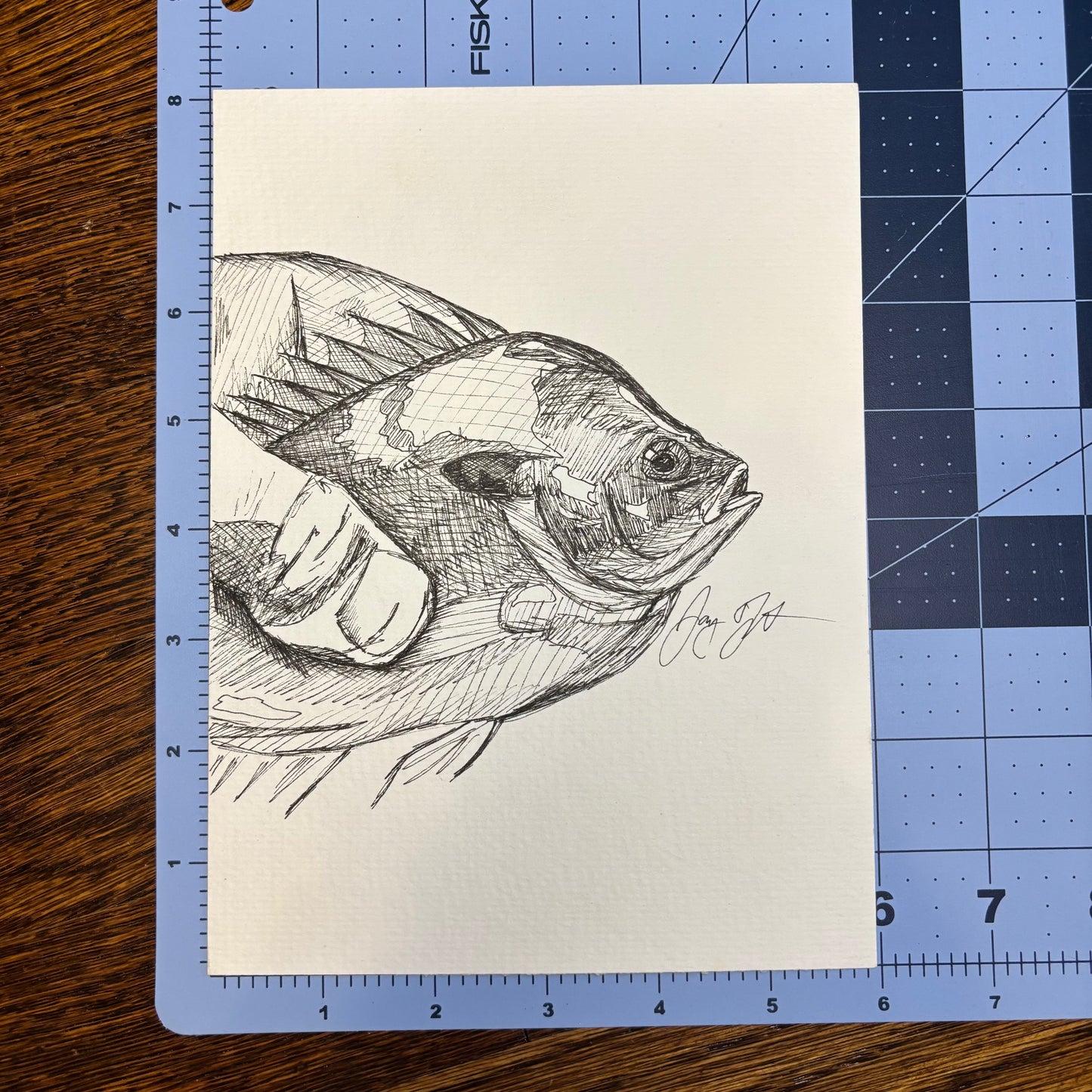 Studio Sale Bream in the Hand Original