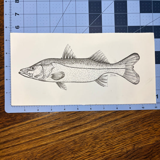 Studio Sale Snook Original