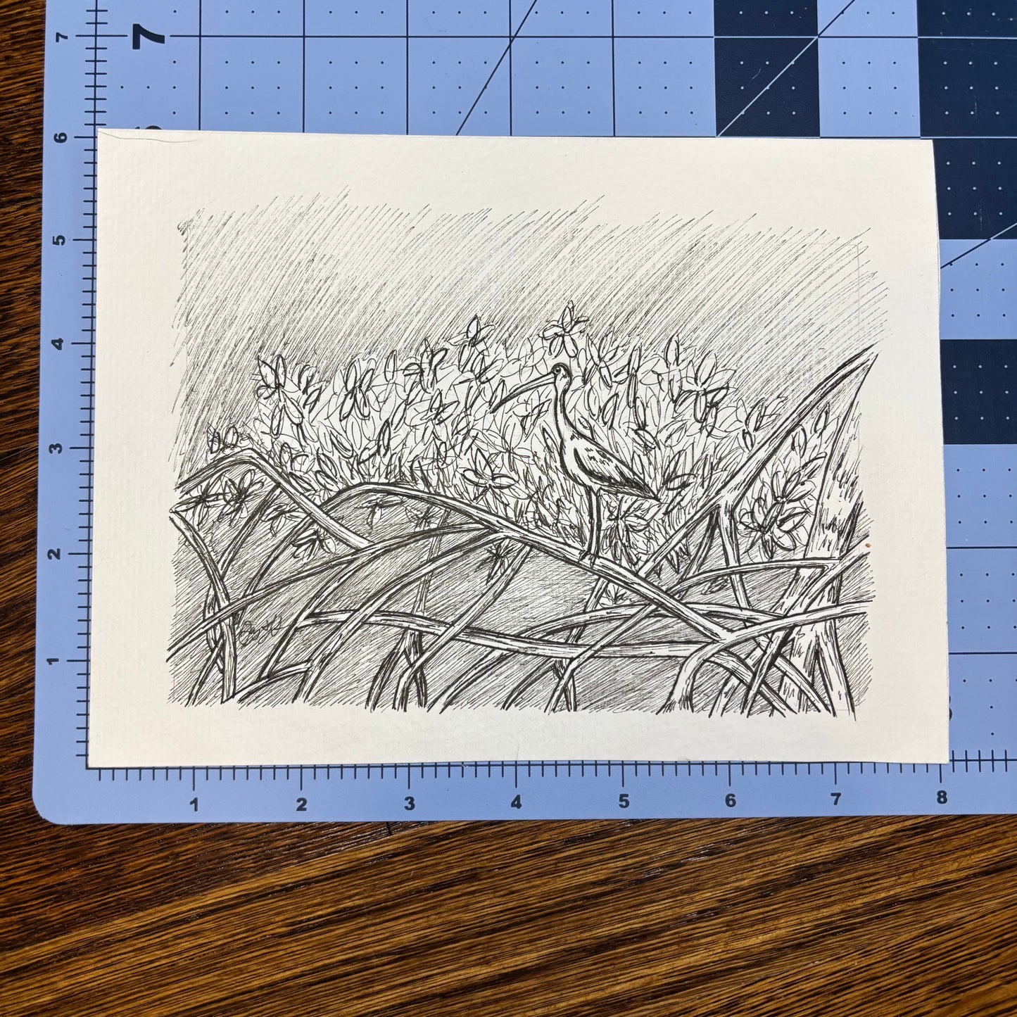 Studio Sale Everglades Original