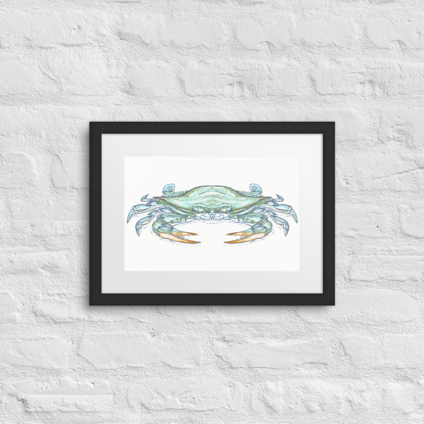 Blue Crab by Jay Talbot Framed Print