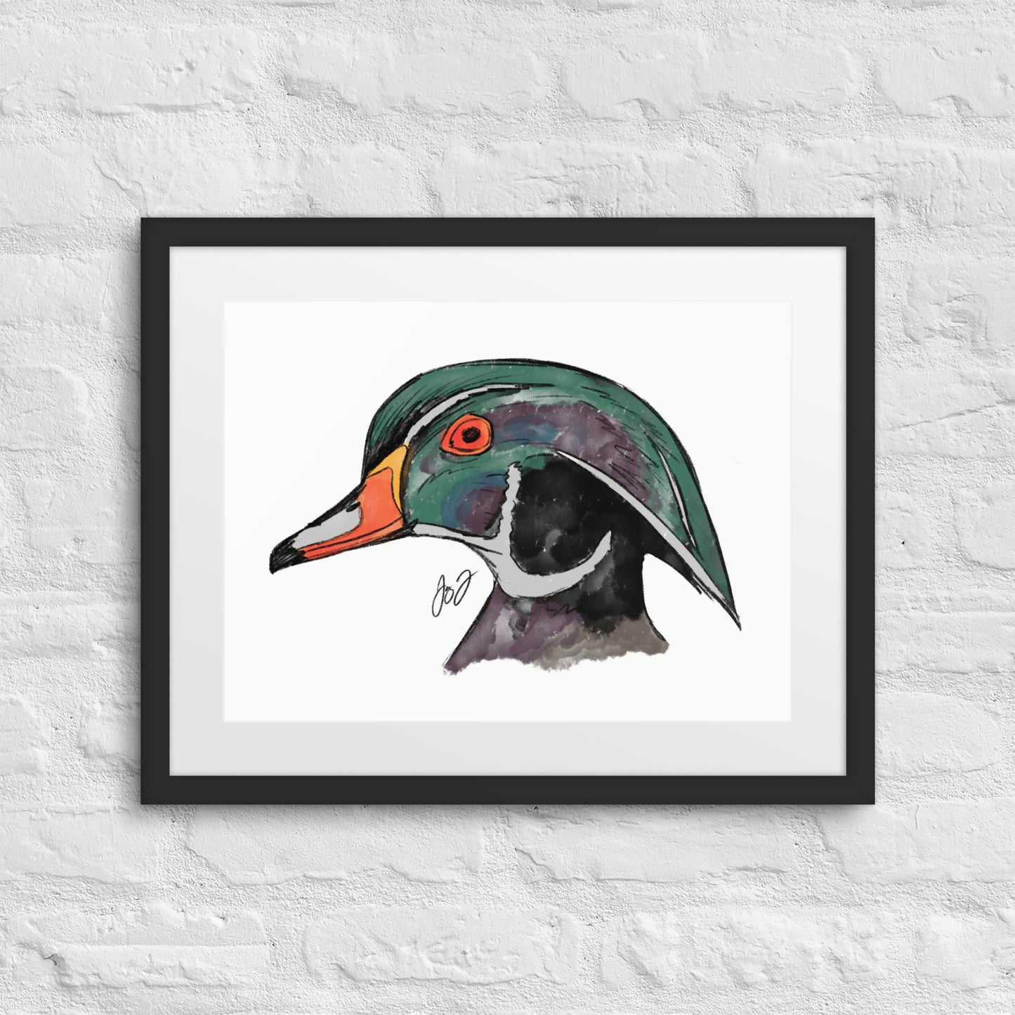 Wood Duck Head by Jay Talbot Framed Art Print