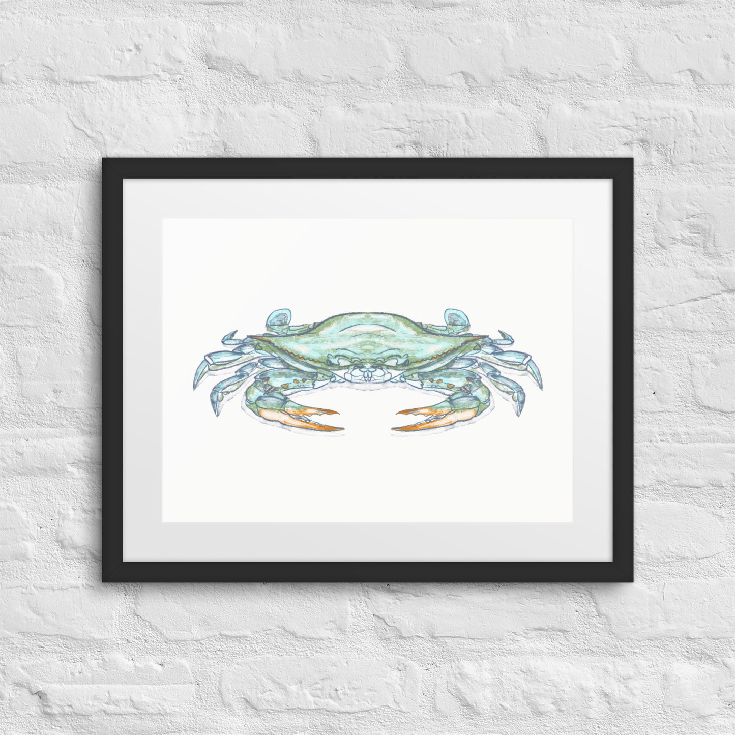 Blue Crab by Jay Talbot Framed Print