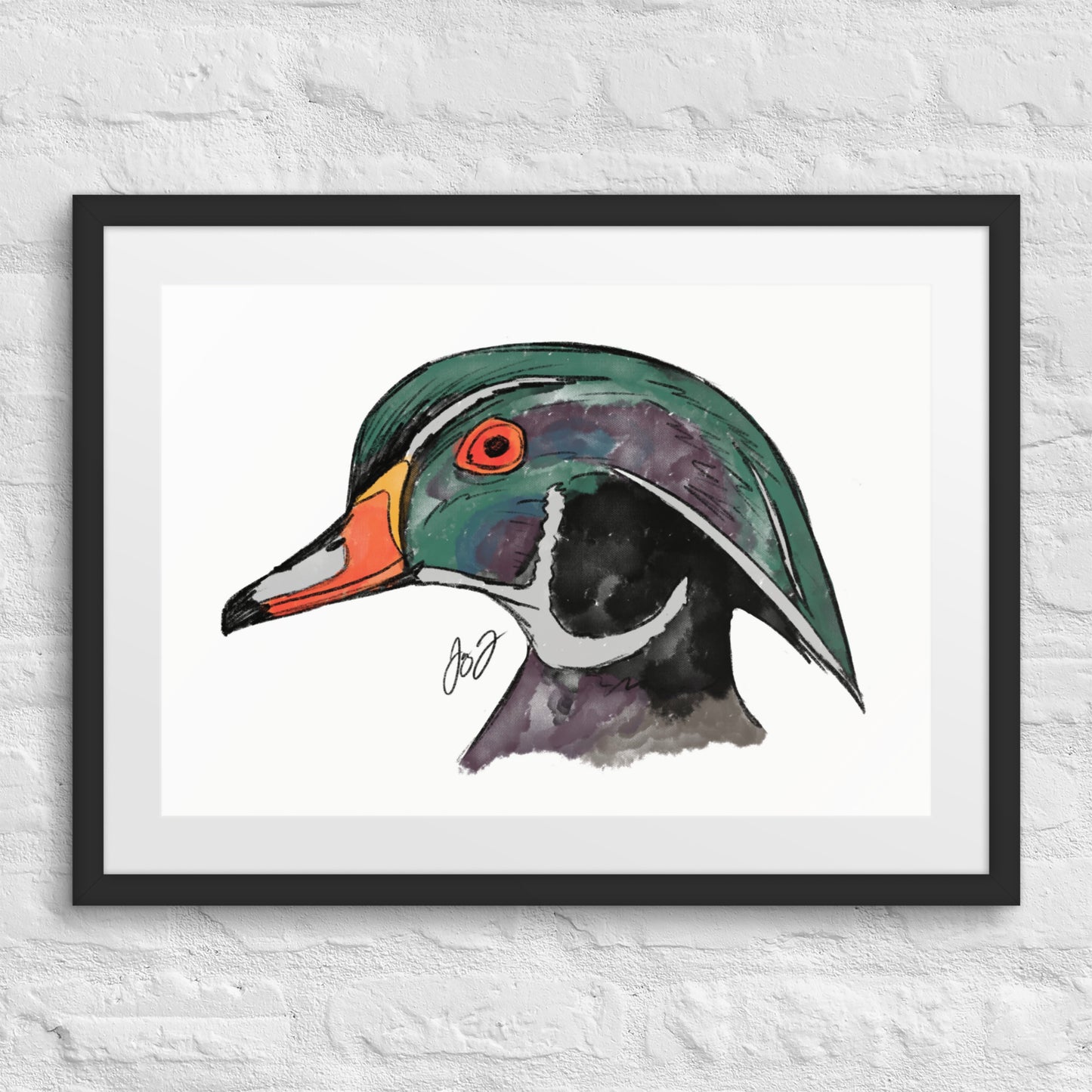 Wood Duck Head by Jay Talbot Framed Art Print