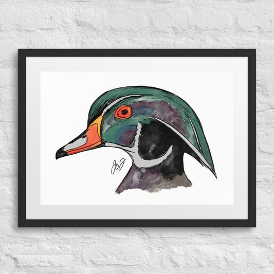 Wood Duck Head by Jay Talbot Framed Art Print