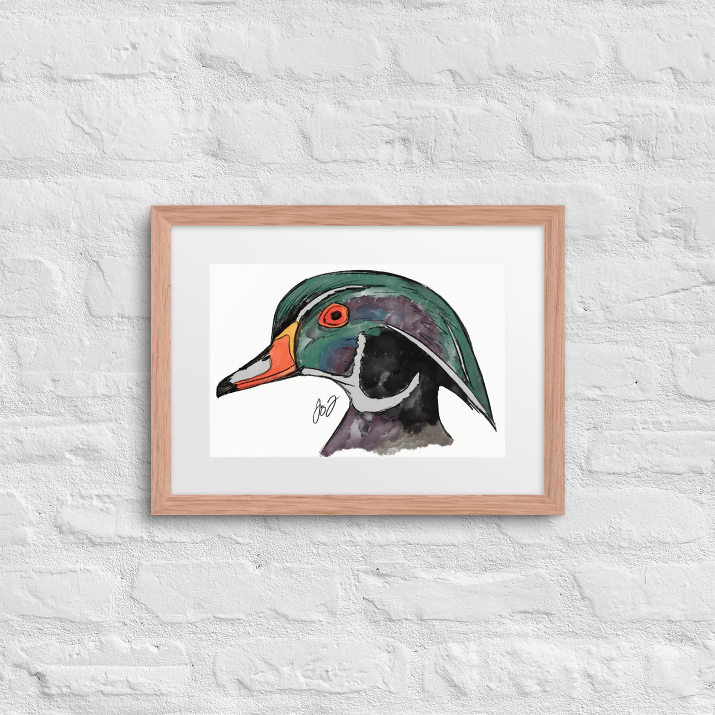 Wood Duck Head by Jay Talbot Framed Art Print