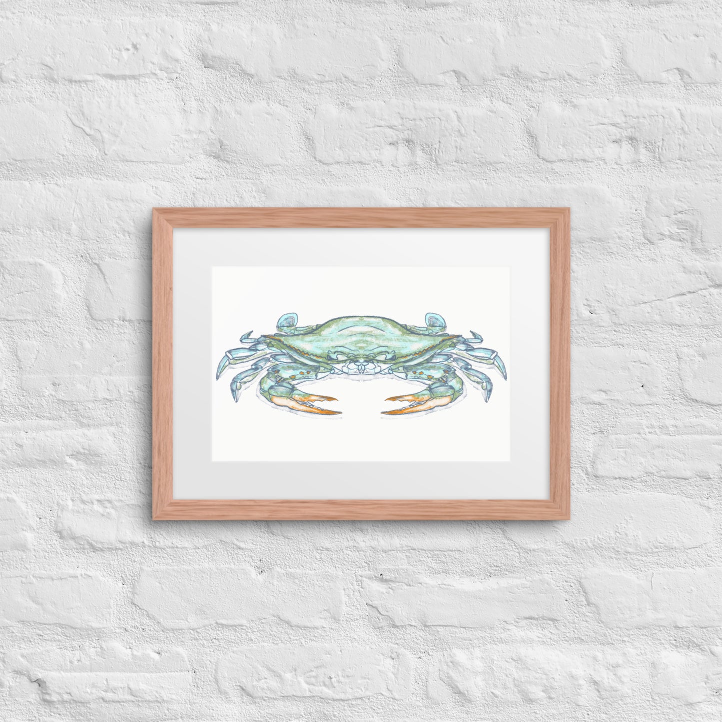 Blue Crab by Jay Talbot Framed Print