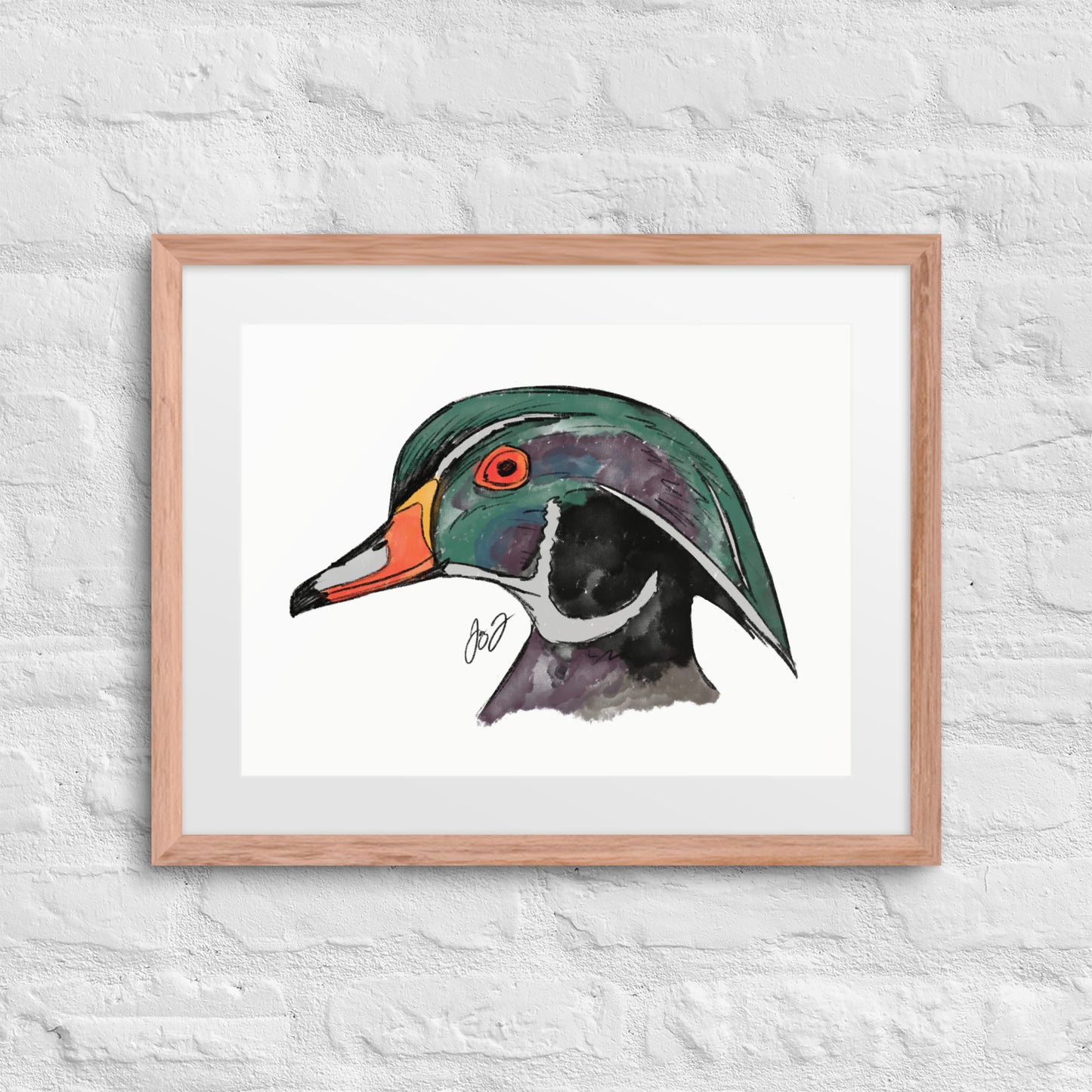 Wood Duck Head by Jay Talbot Framed Art Print