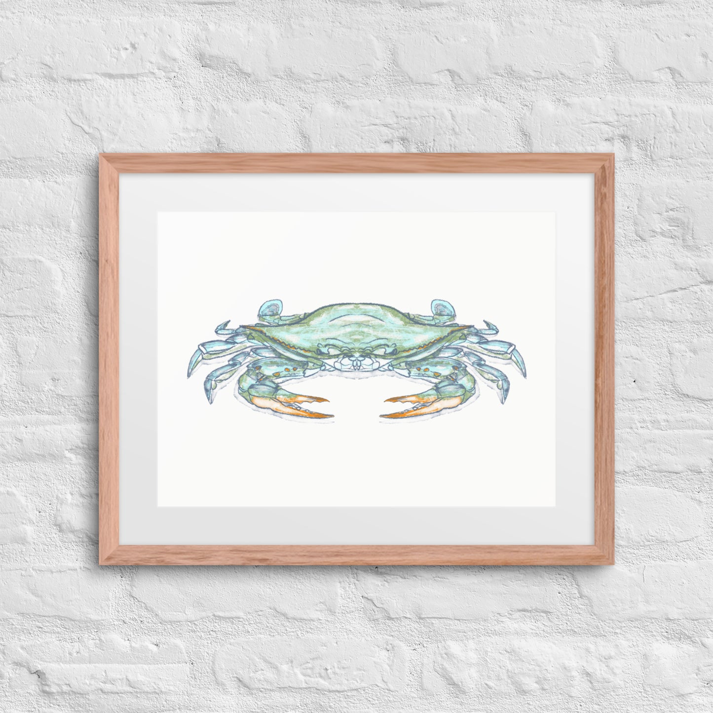 Blue Crab by Jay Talbot Framed Print