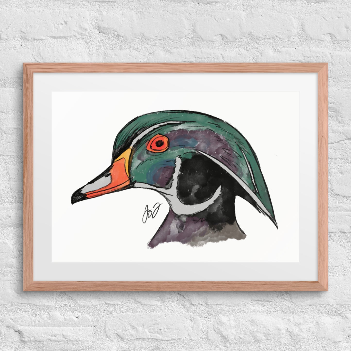 Wood Duck Head by Jay Talbot Framed Art Print