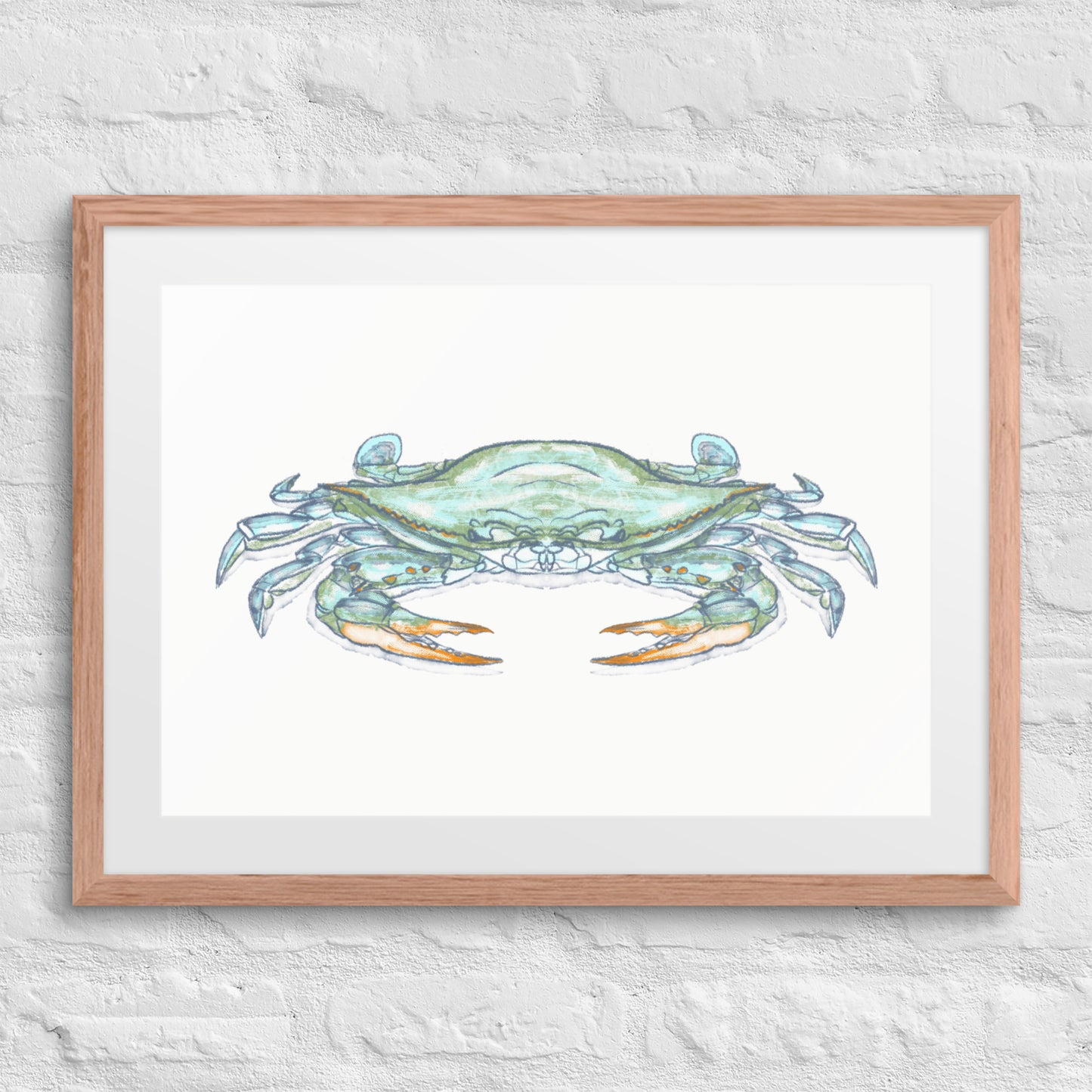 Blue Crab by Jay Talbot Framed Print