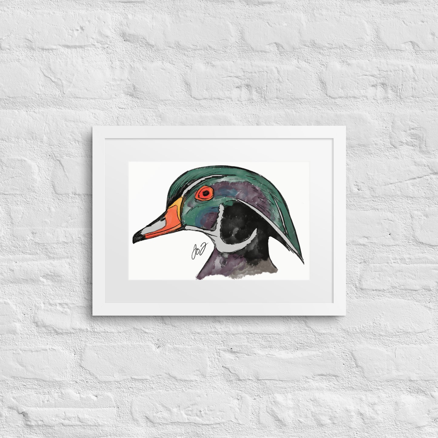 Wood Duck Head by Jay Talbot Framed Art Print