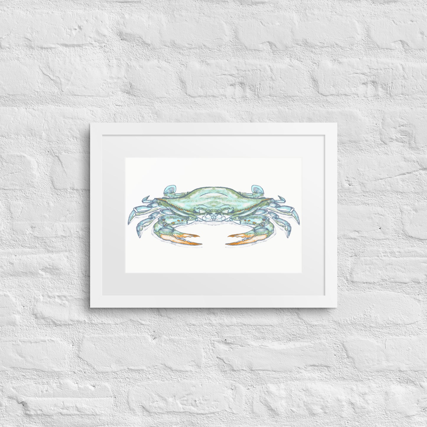 Blue Crab by Jay Talbot Framed Print