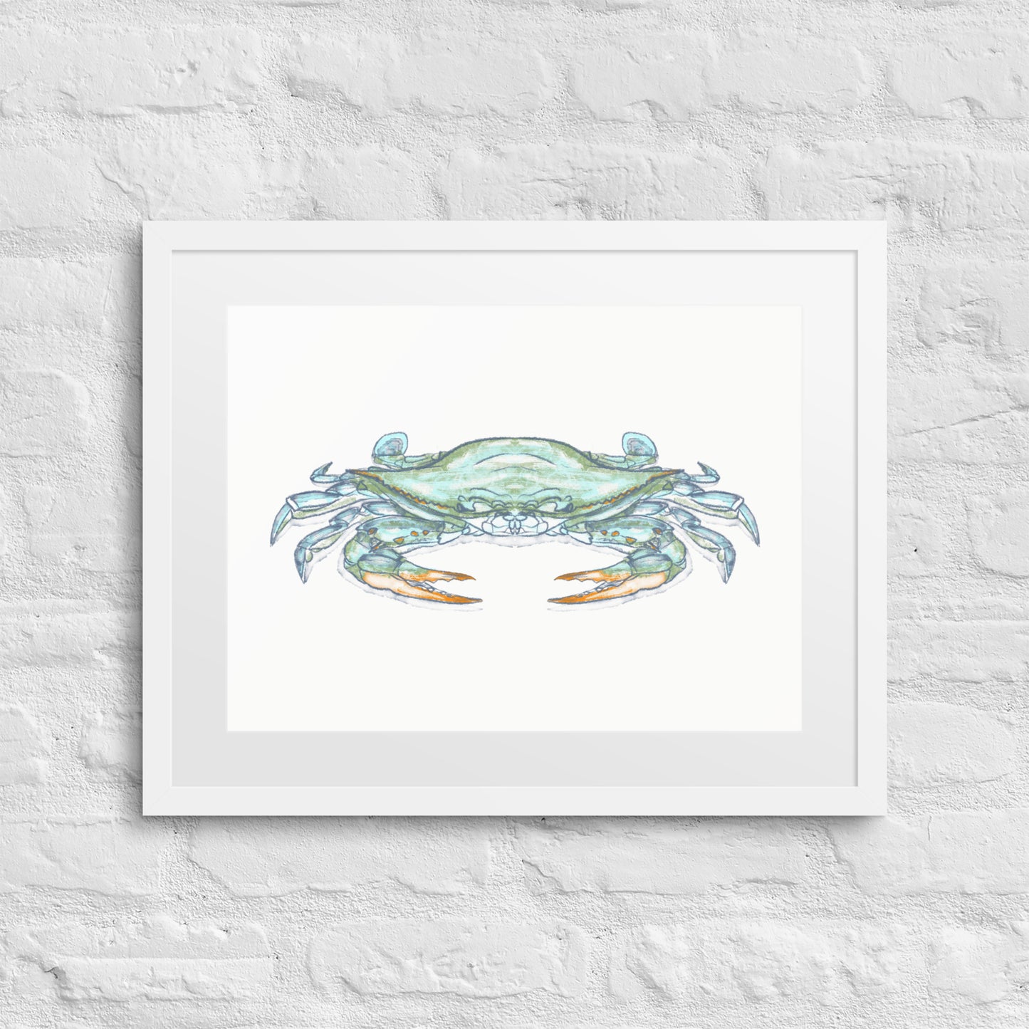 Blue Crab by Jay Talbot Framed Print