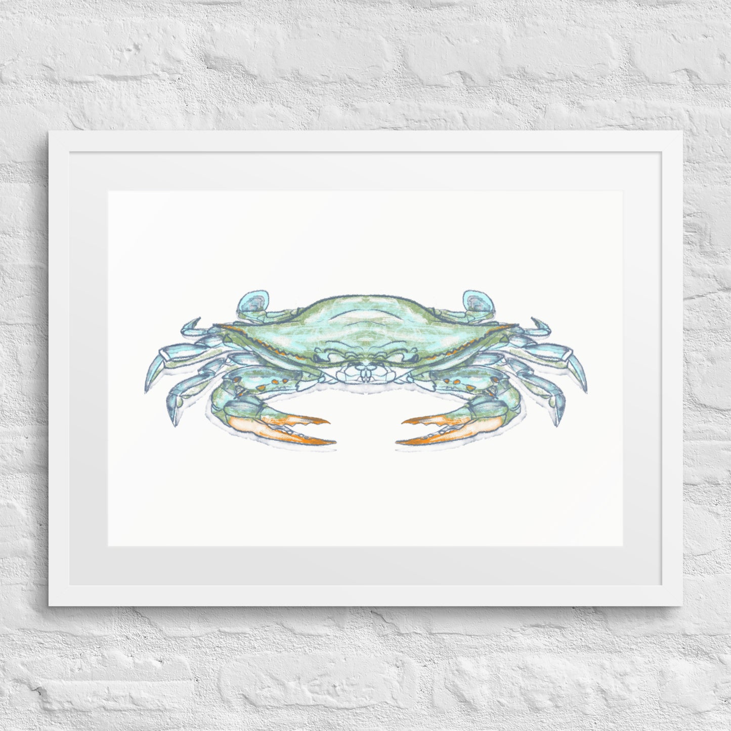 Blue Crab by Jay Talbot Framed Print