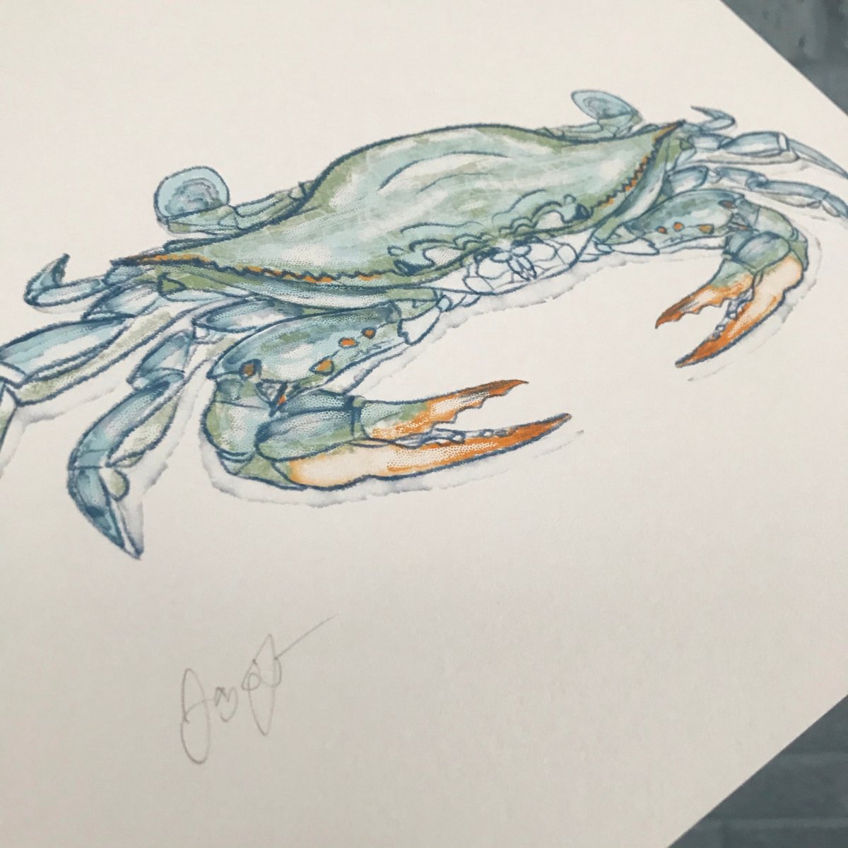 Blue Crab Print - Jaybo Art