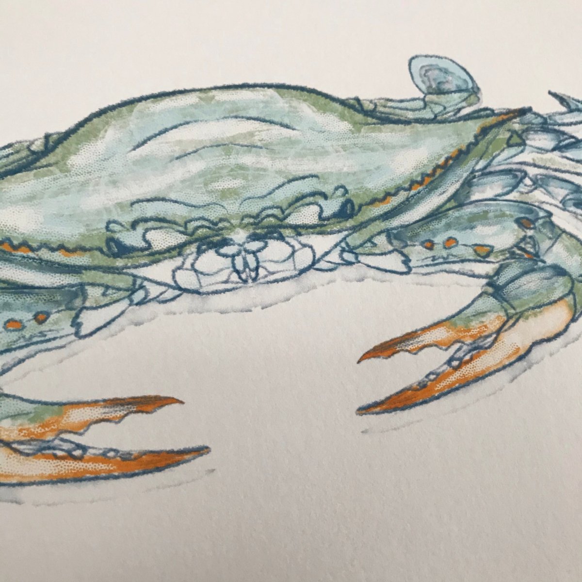Blue Crab Print - Jaybo Art