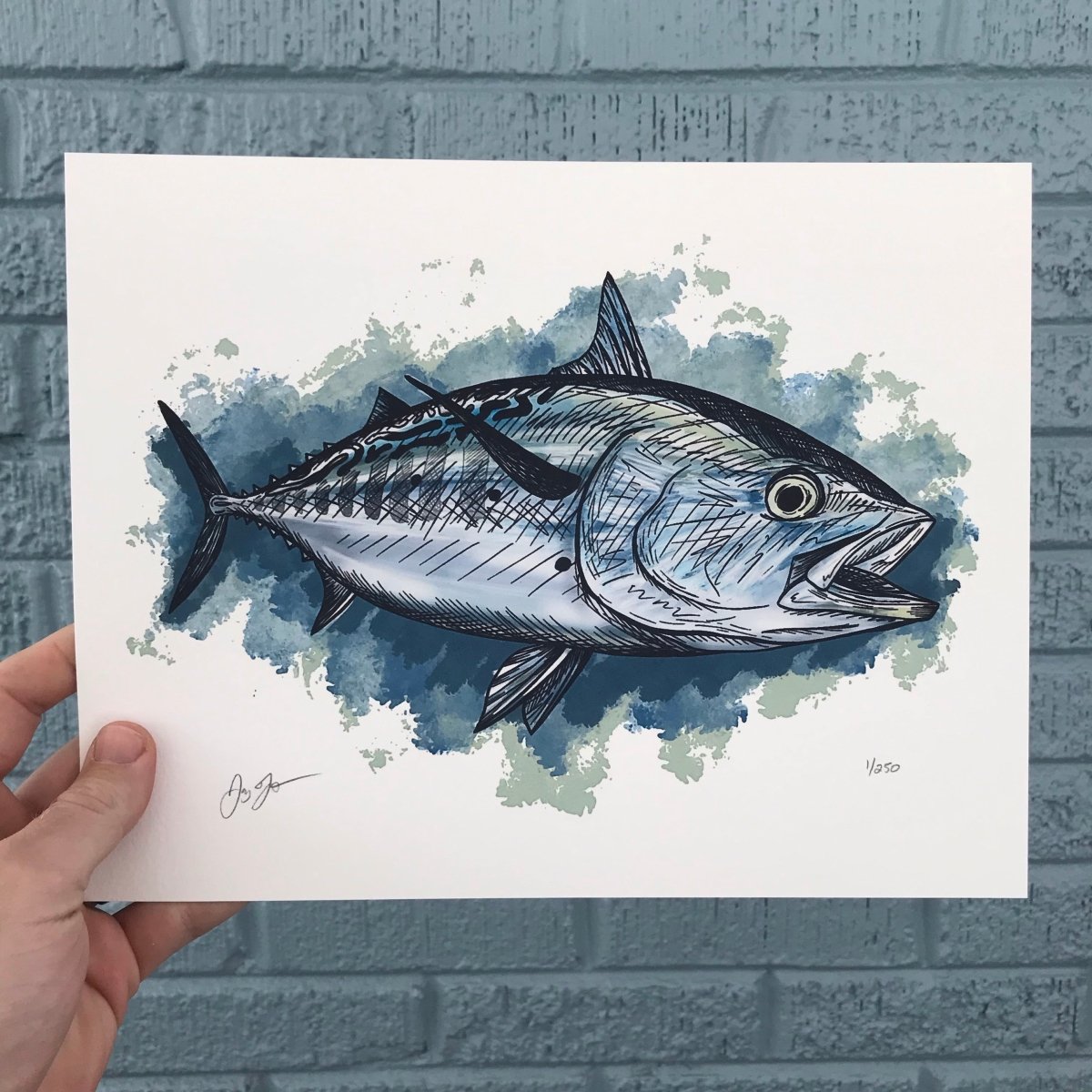 False Albocore Print - Jaybo Art