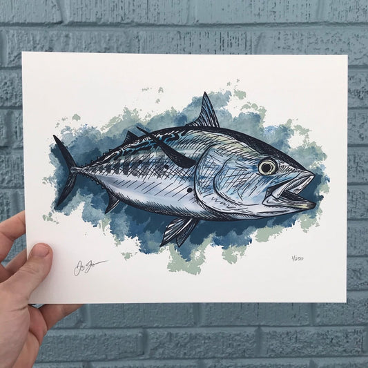 False Albocore Print - Jaybo Art