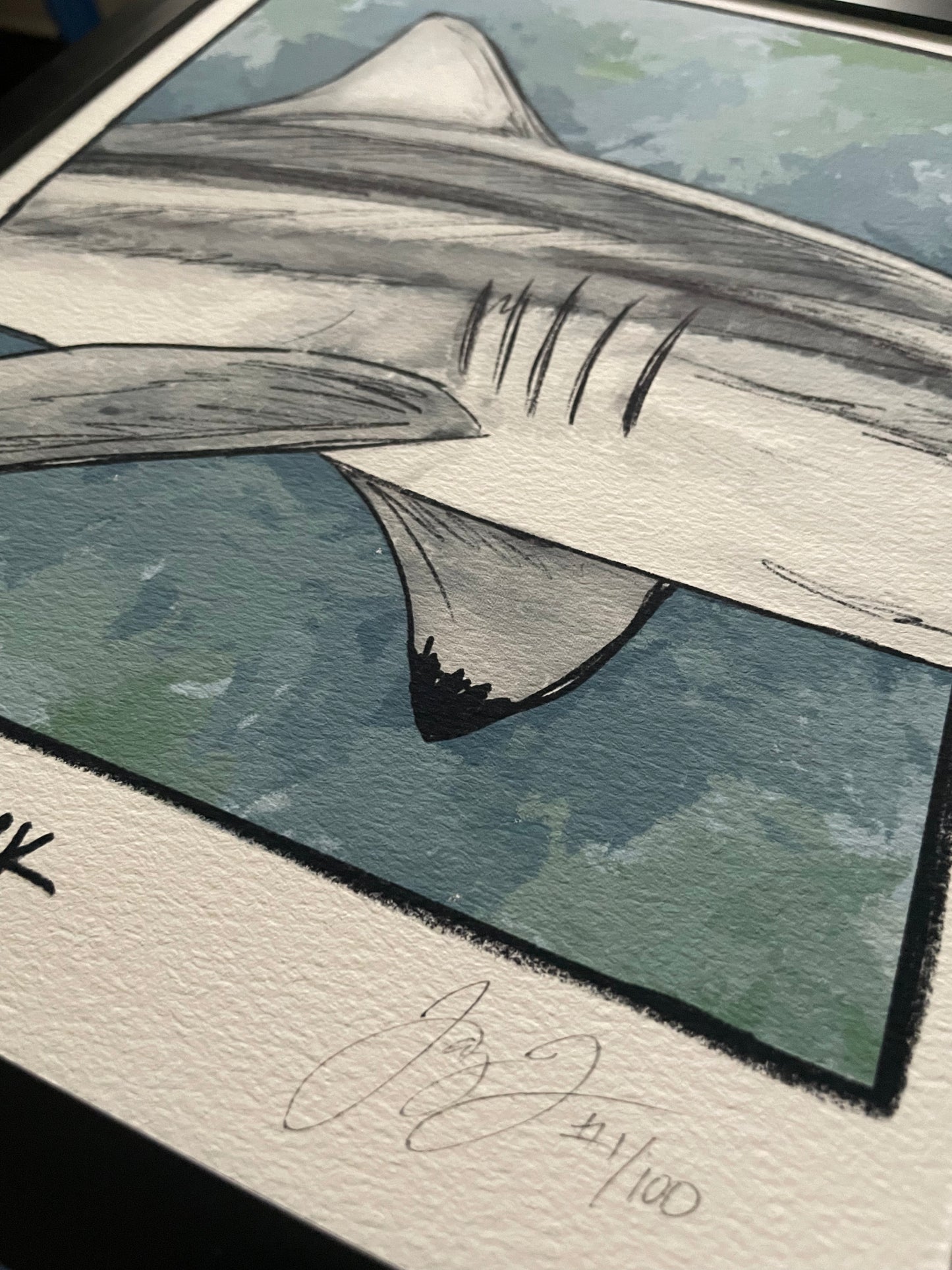 Blacktip Shark Closeup Print Ed. of 100 (Frame not included)