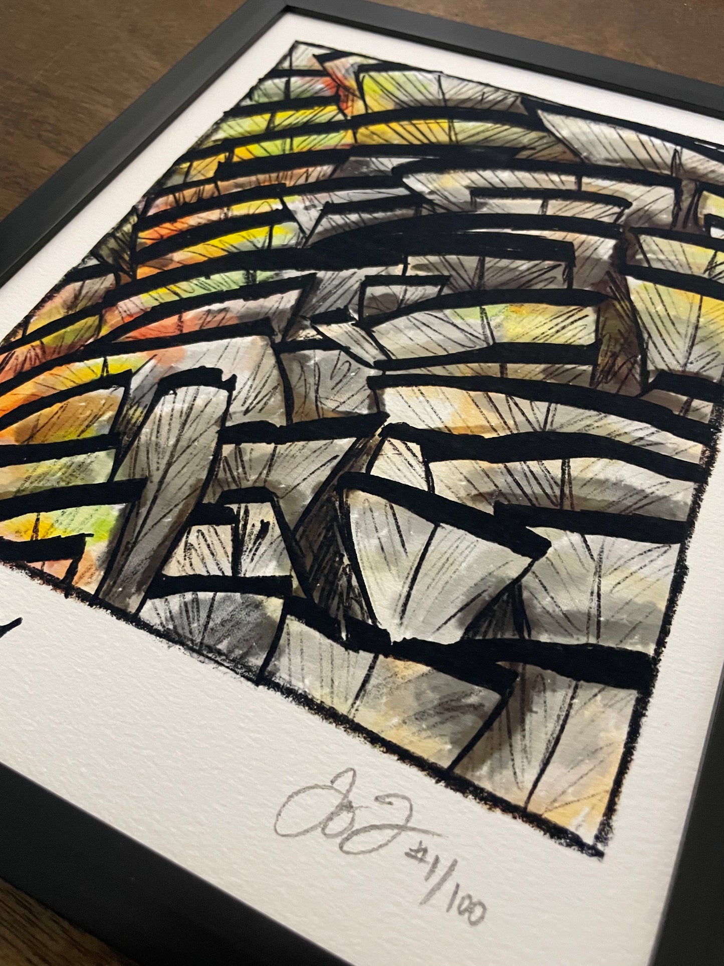 Turkey Feathers Print Ed. of 100 (Frame not included)