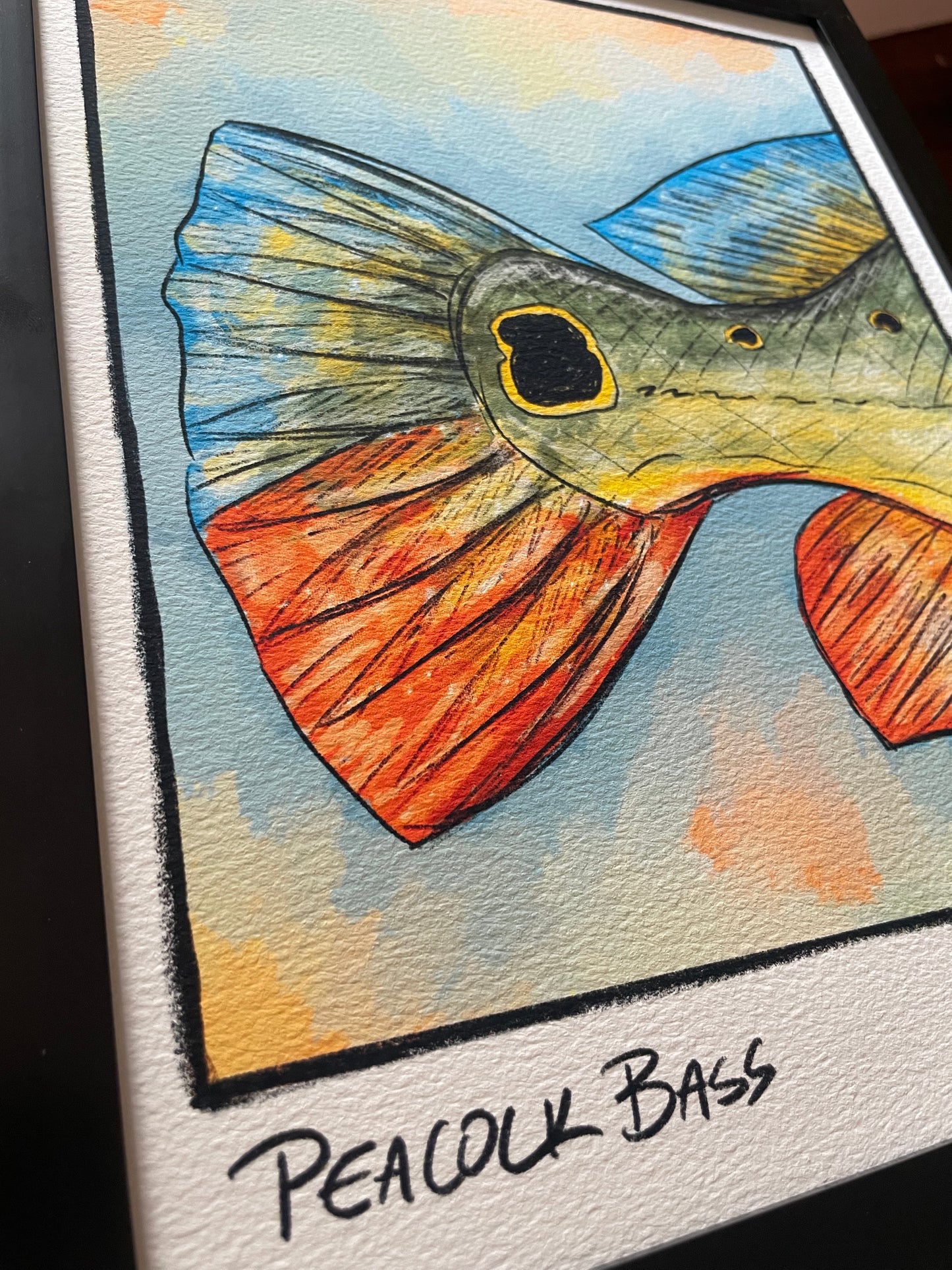 Peacock Bass Closeup Print Ed. of 100 (Frame not included)