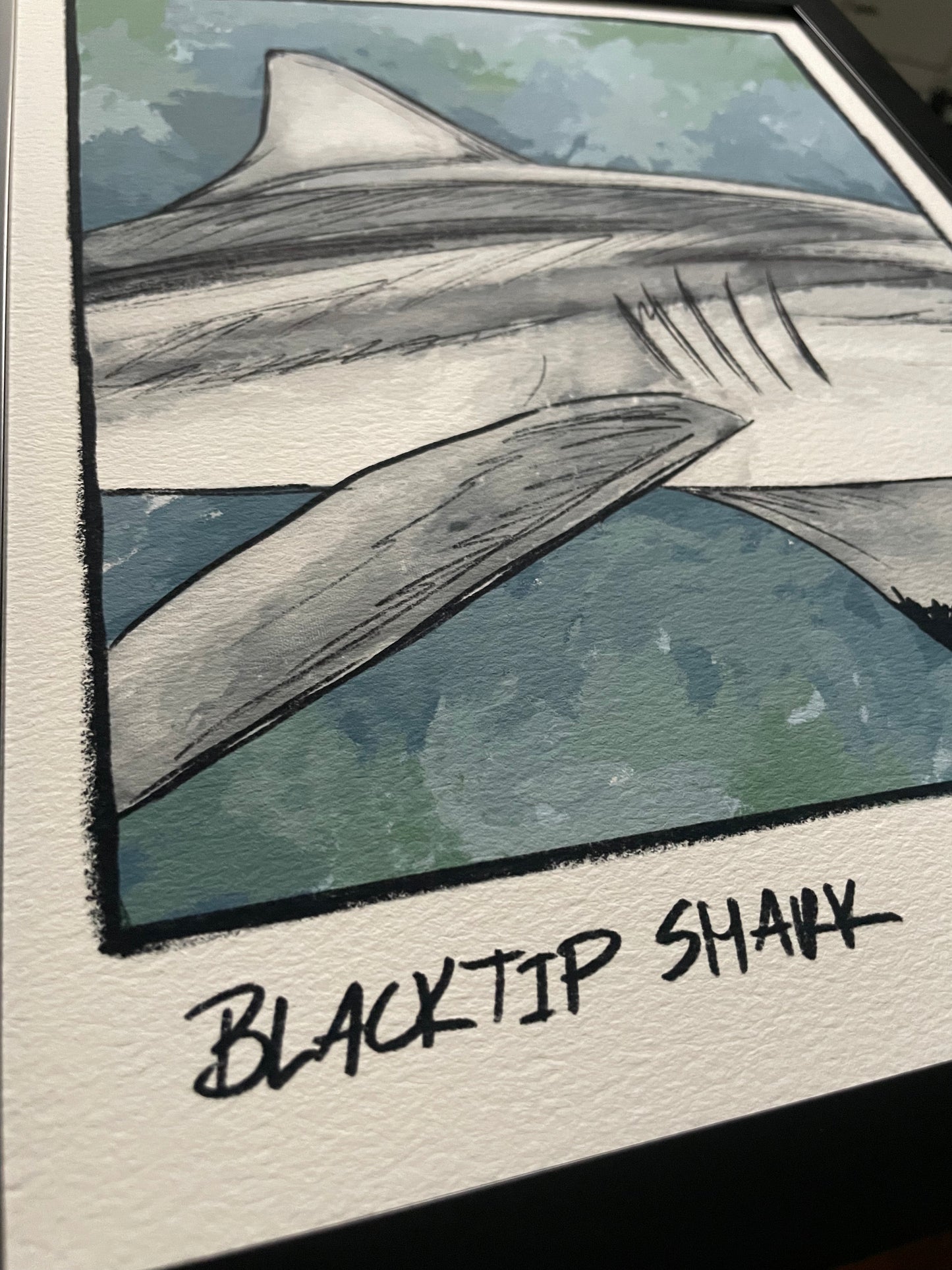 Blacktip Shark Closeup Print Ed. of 100 (Frame not included)
