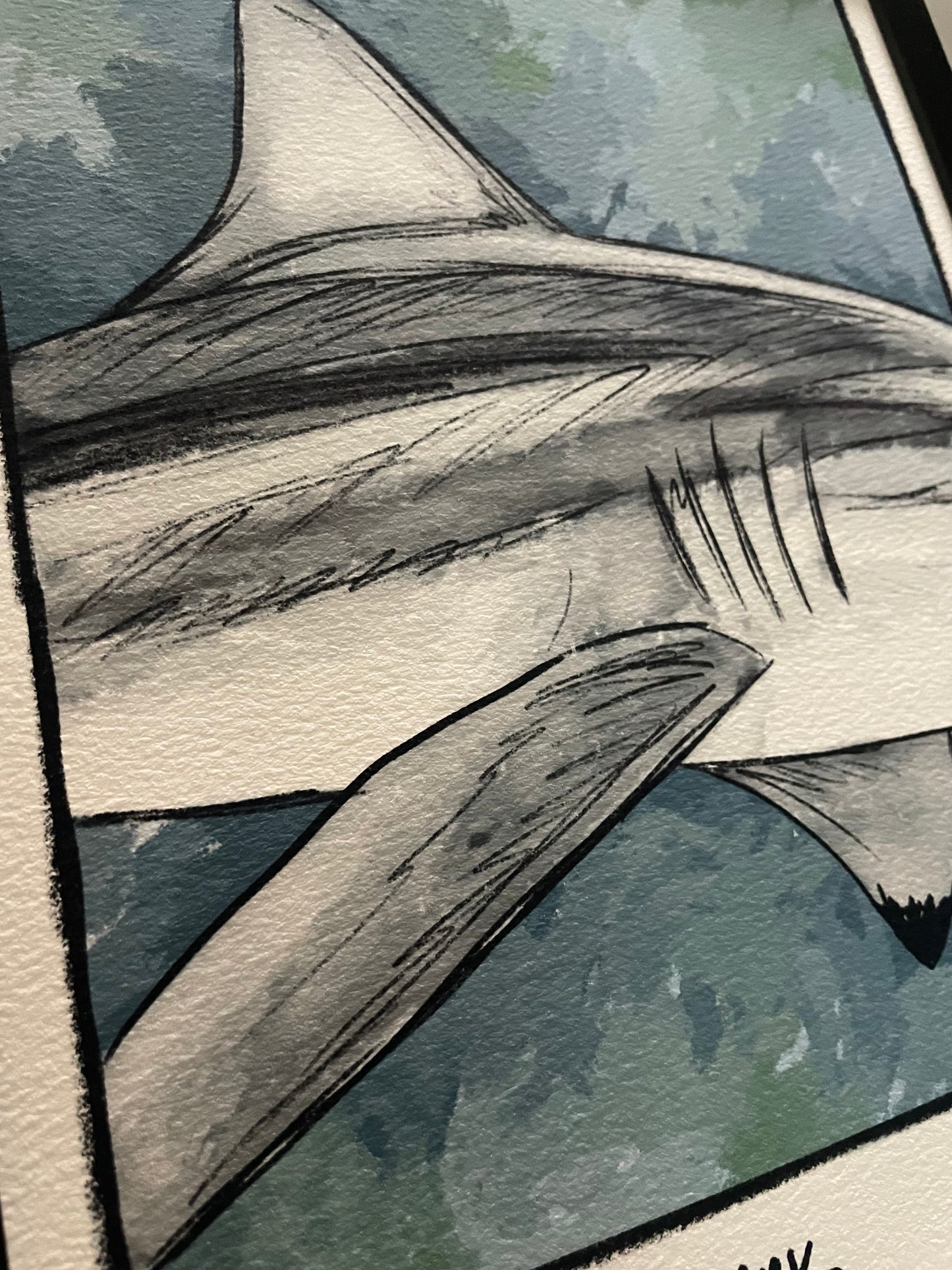 Blacktip Shark Closeup Print Ed. of 100 (Frame not included)