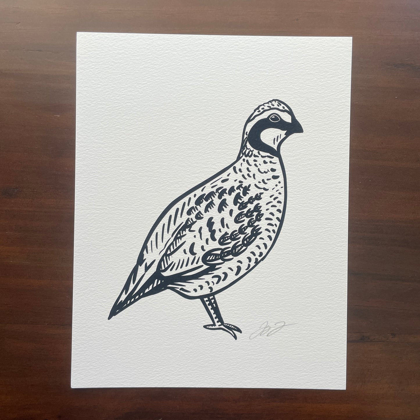 Open Edition: Simple Bobwhite Print