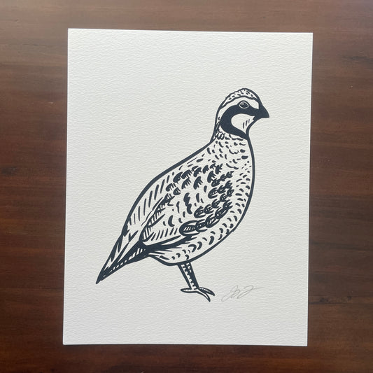 Open Edition: Simple Bobwhite Print