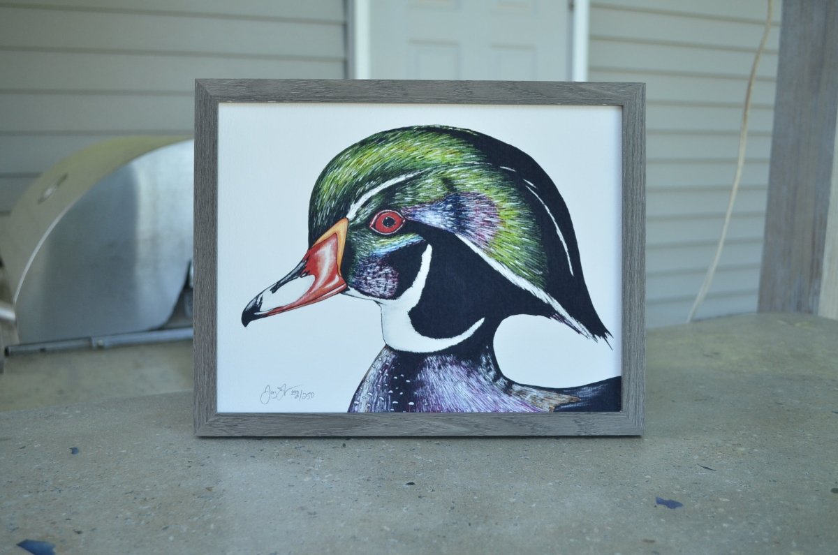 Wood Duck Print - Jaybo Art